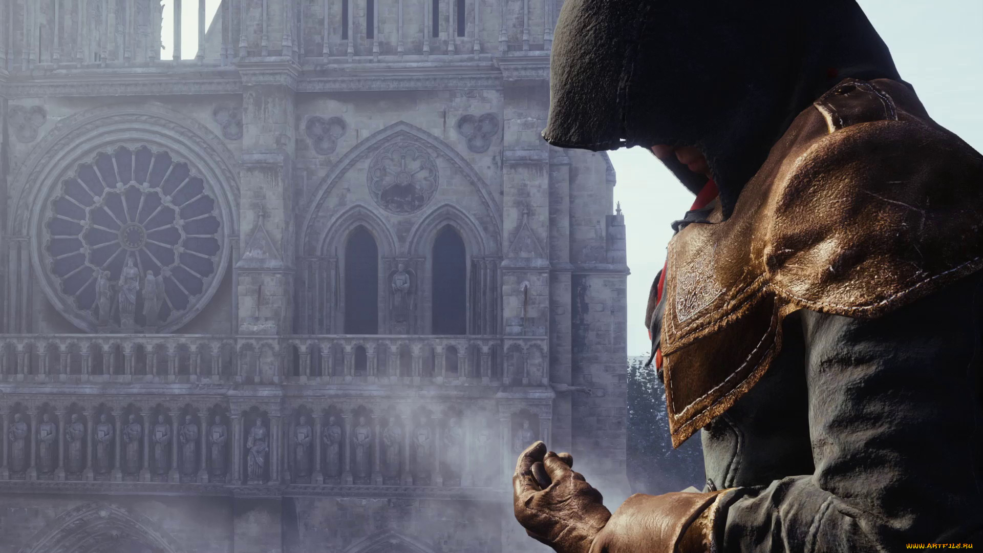 assassin`s creed unity,  , - assassin`s creed unity, 